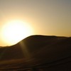 DESERT SAFARIS 沙漠之旅