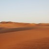 DESERT SAFARIS 沙漠之旅