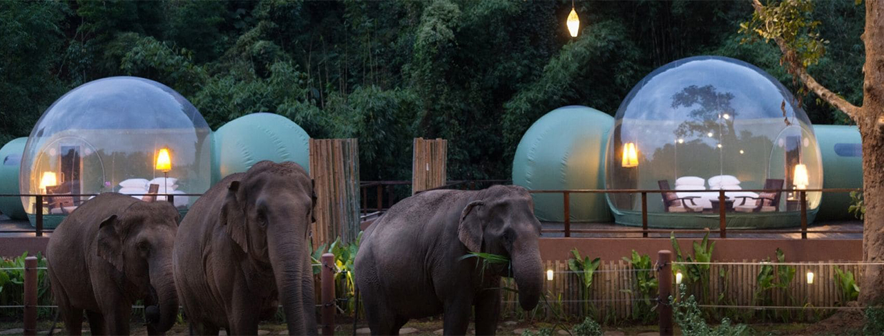 Anantara Golden Triangle Elephant Camp & Resort