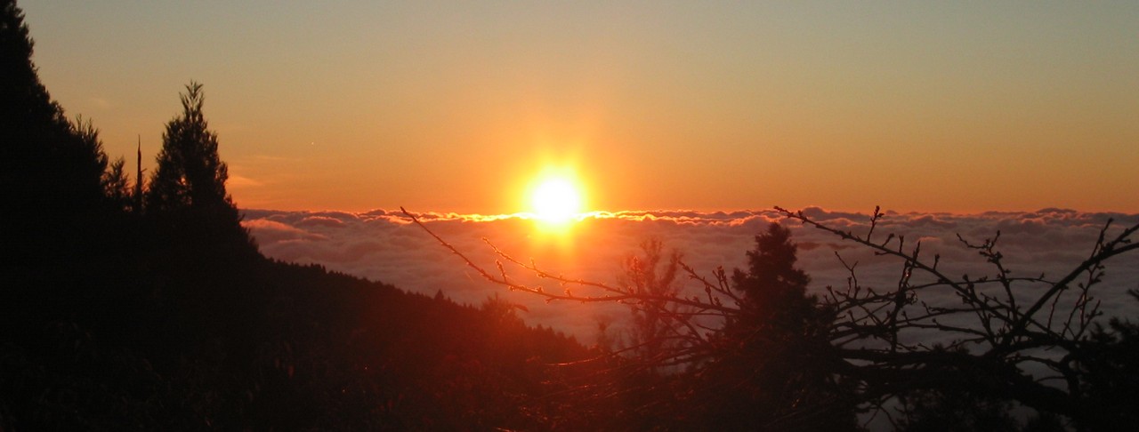 2D/1N: Alishan