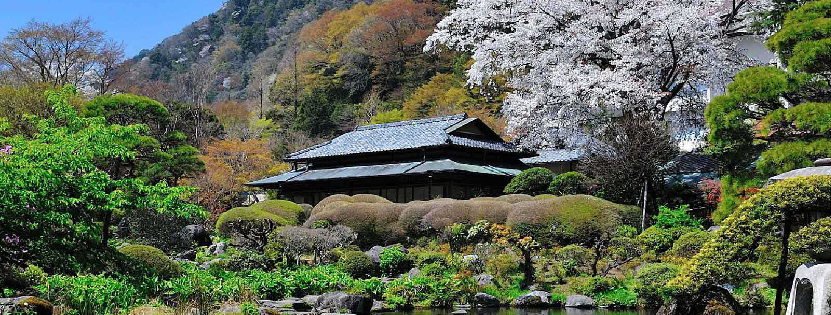箱根江戶一日遊