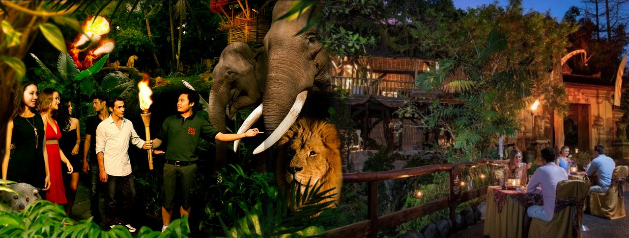 夜訪動物園與獅子共進晚餐