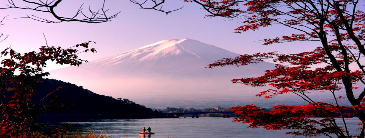 眺望世界遺產・富士山！新設施・御殿場樹空之森＆箱根海賊船箱(午餐螃蟹吃到飽)