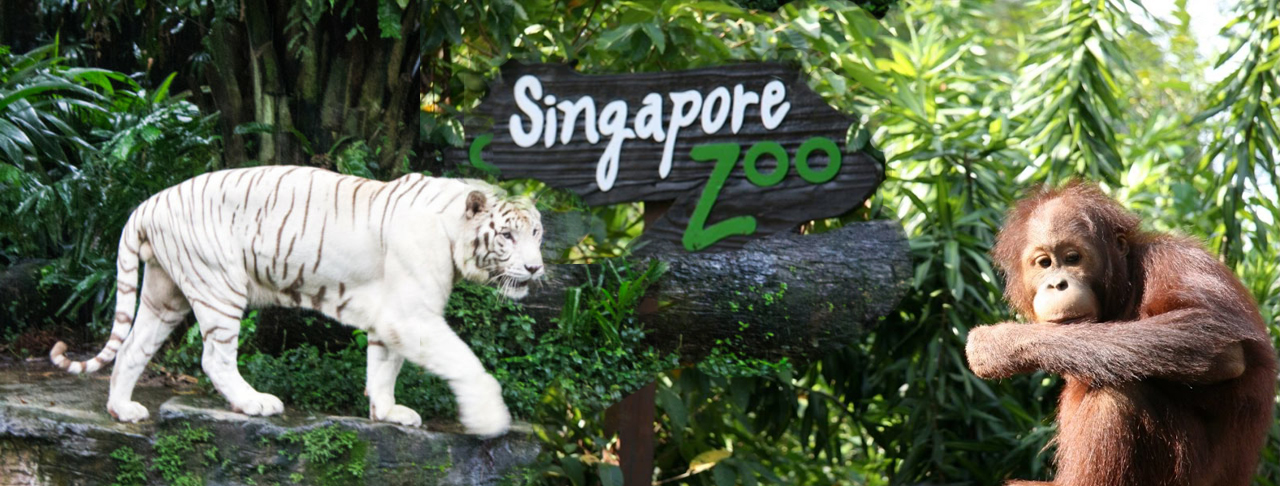 新加坡動物園