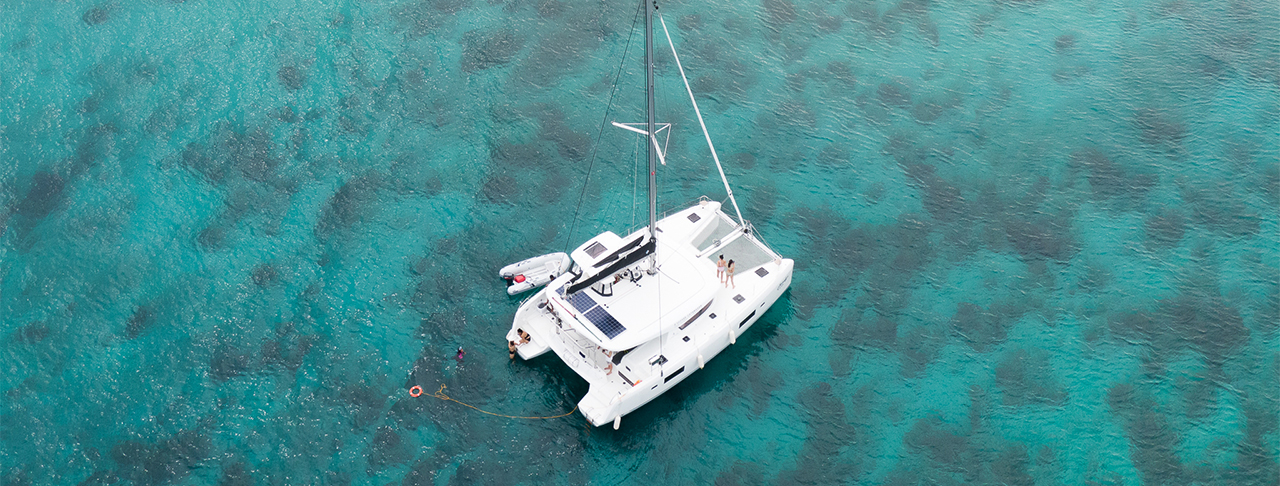 【尊爵Catamaran】蜜月島海豚游蹤+比利時美食饗宴一日遊