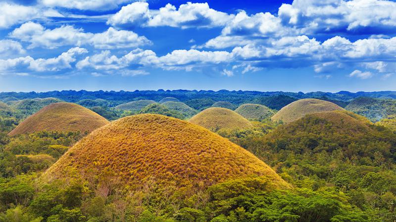 Cebu & Bohol 5D/4N