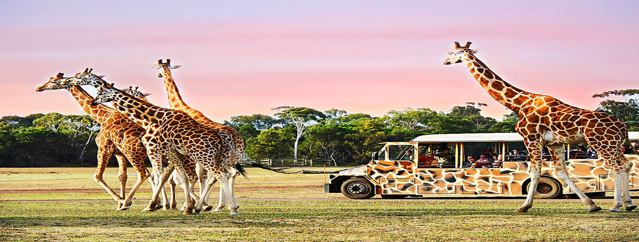 威爾比動物園 Werribee Zoo