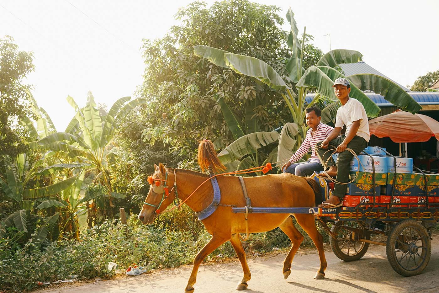 Phnom Penh, Silk Island