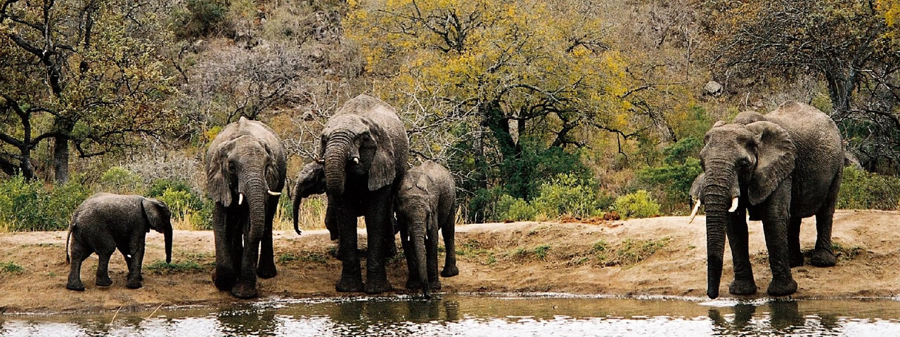 南非生態探索之旅十八日