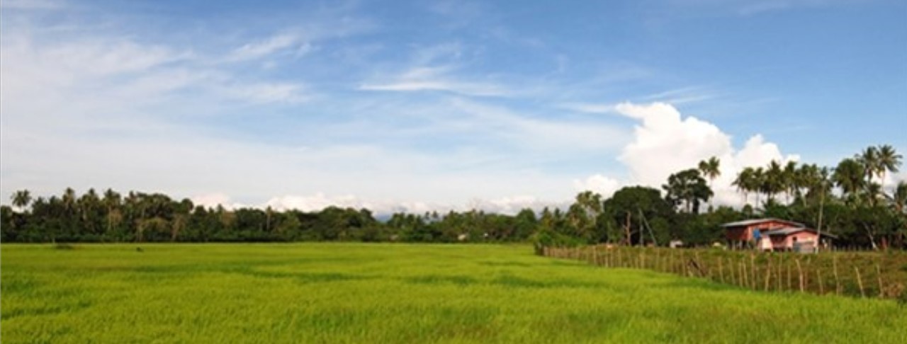 Cilipadi村野生動物與夕陽遊