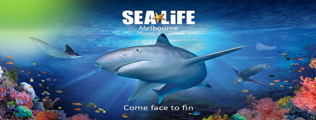 墨爾本水族館 Sea Life Melbourne Aquarium
